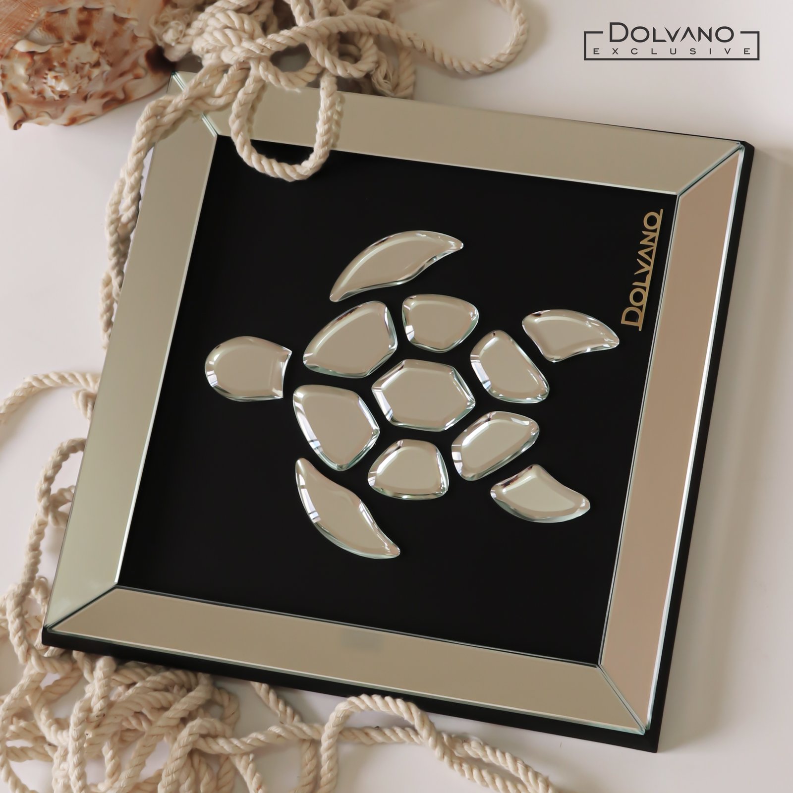 Charming Baby Turtle